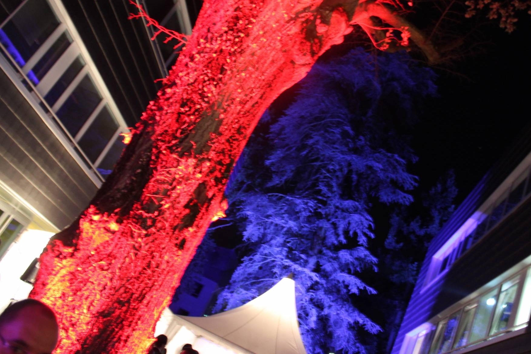 Mise en ambiance lumineuse extérieur à Lyon