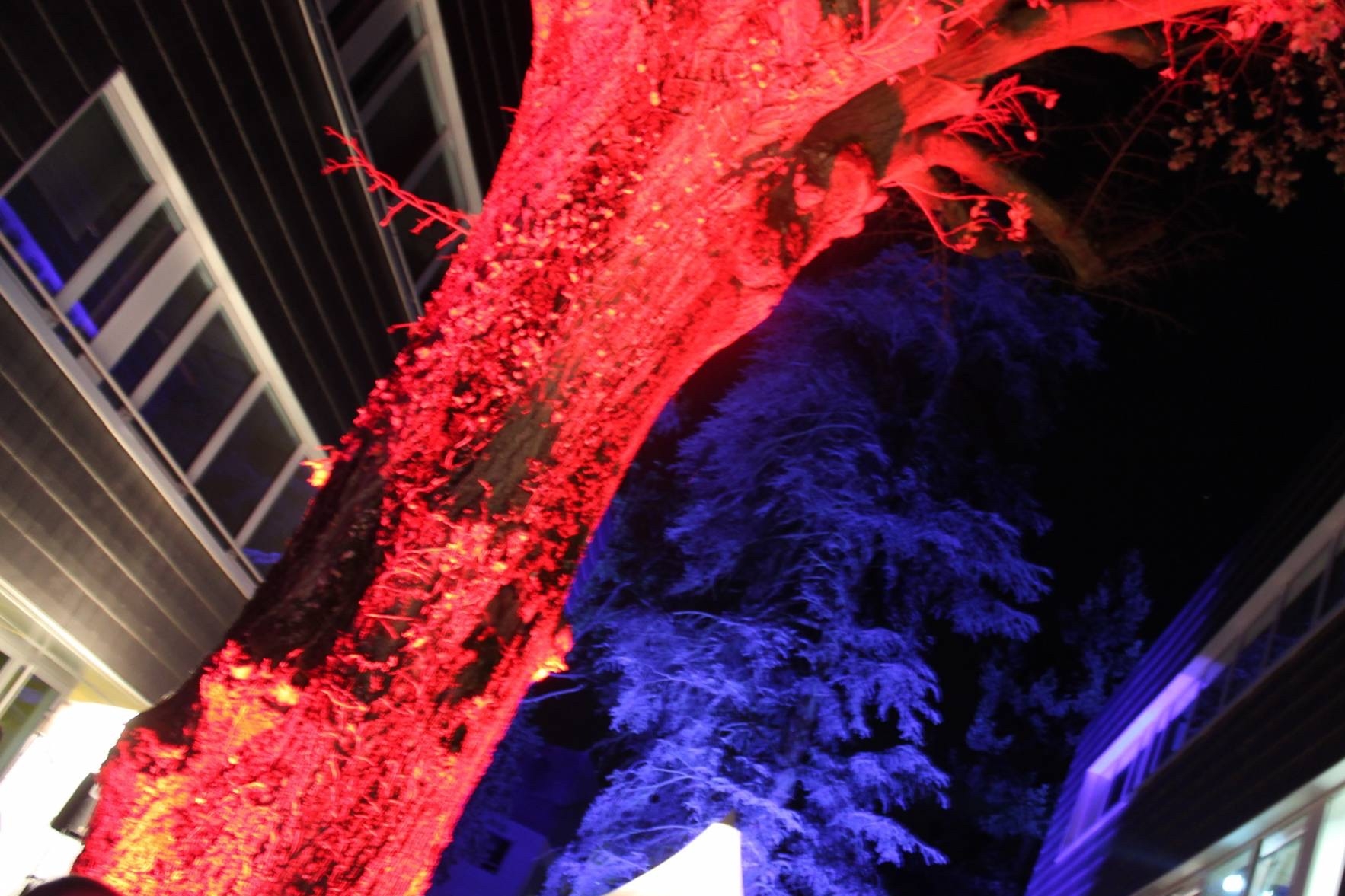 Mise en lumière d'espace en extérieur Lyon