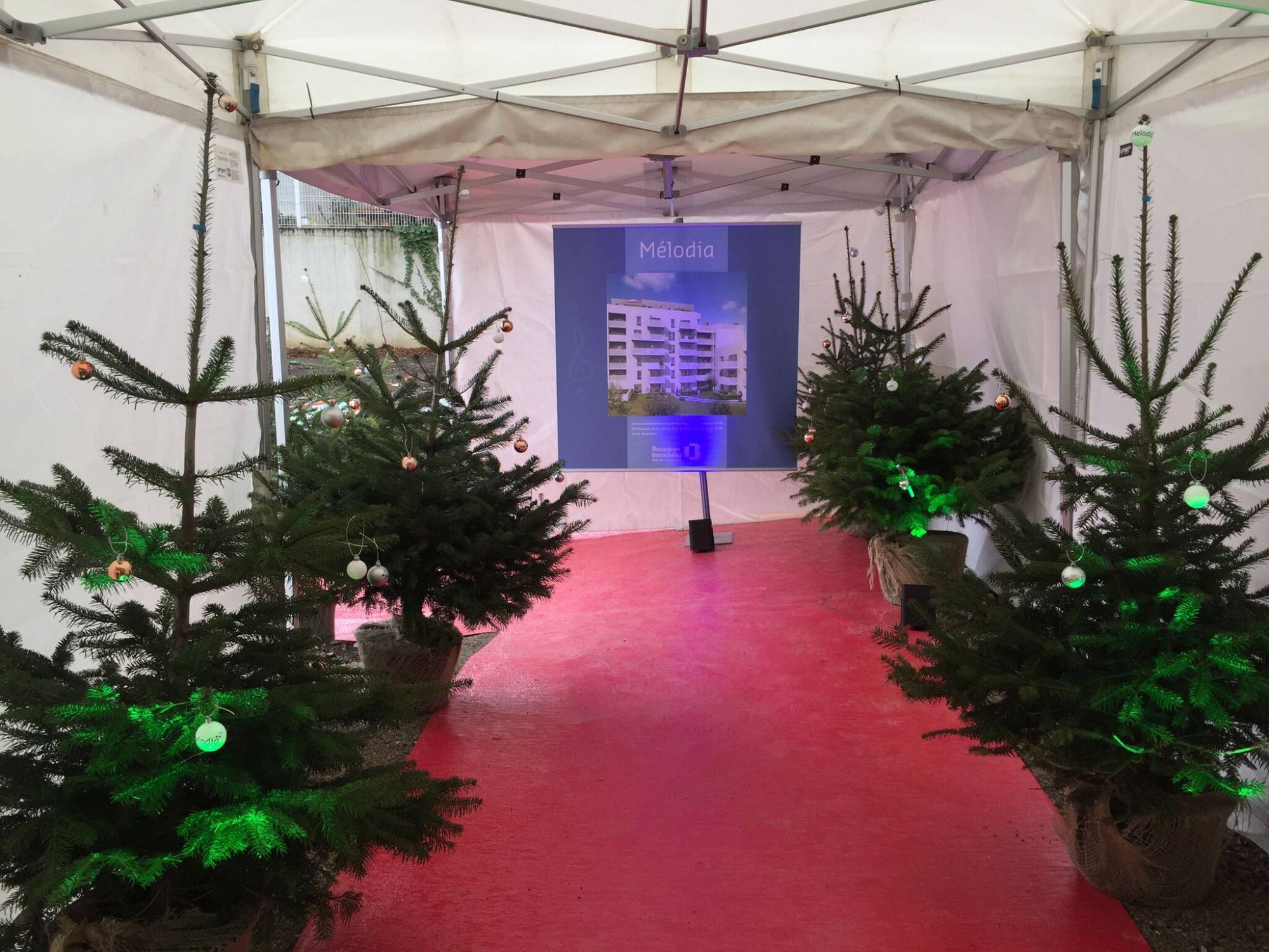Mise en ambiance de l'entrée sous chapiteaux pour événement privée à Lyon