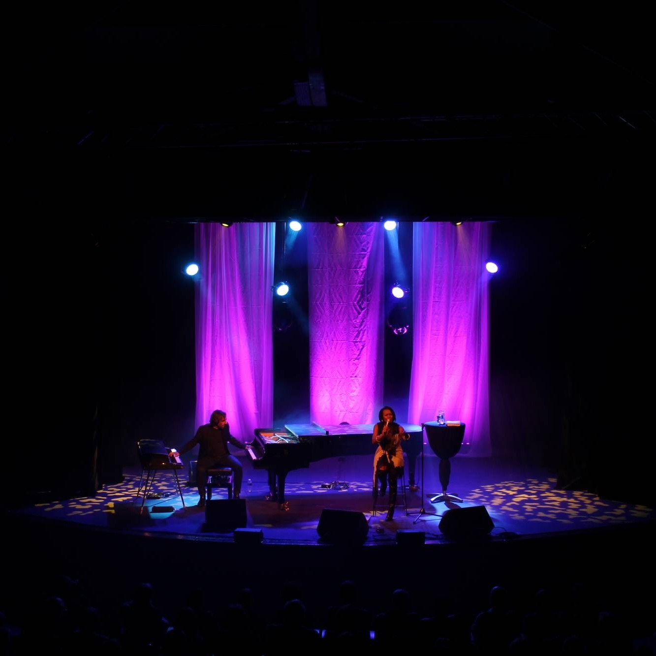 Location sonorisation et création lumière pour concert  à Lyon