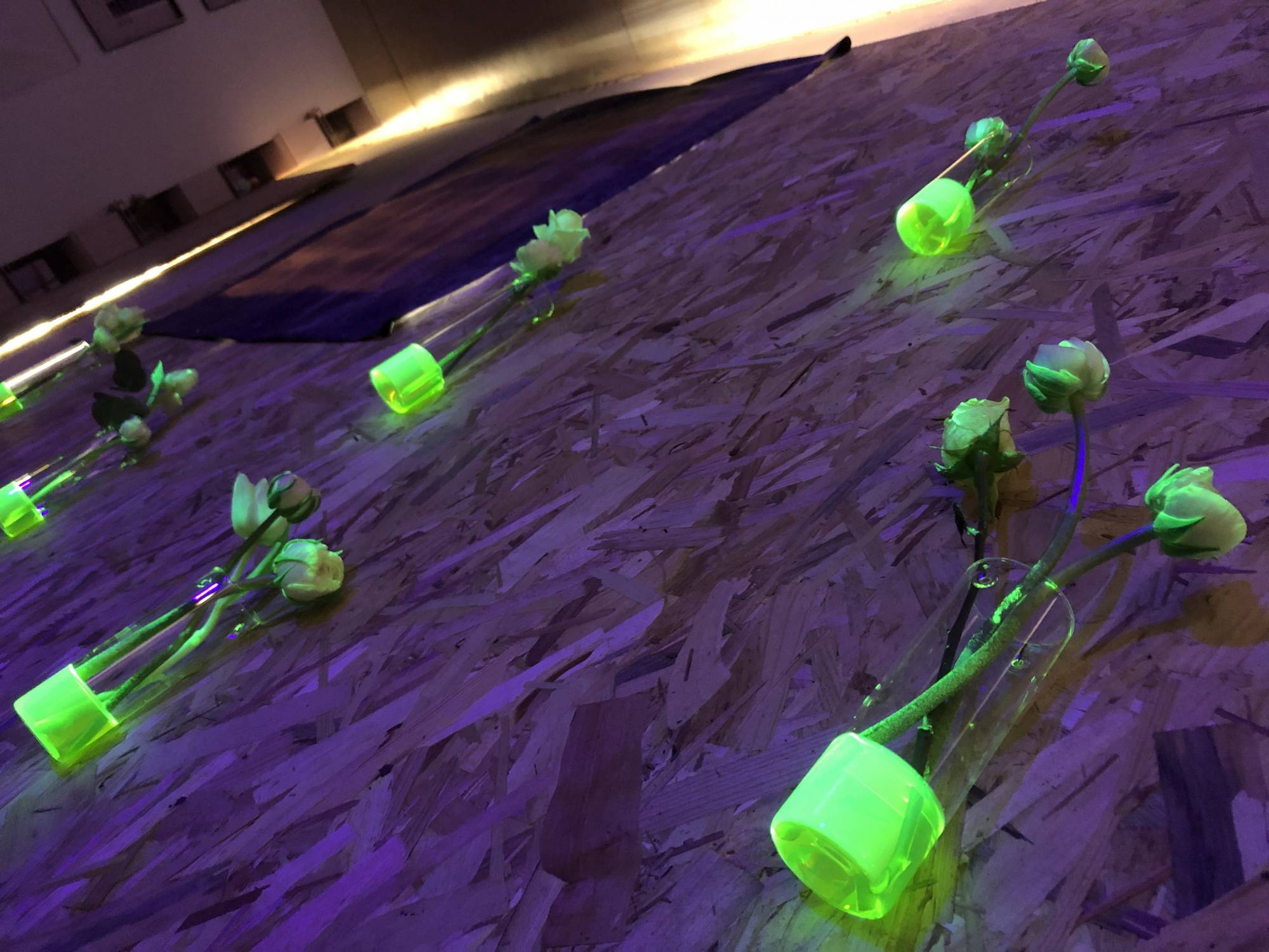 Location lumière noire pour ambiance lumineuse VILLEURBANNE