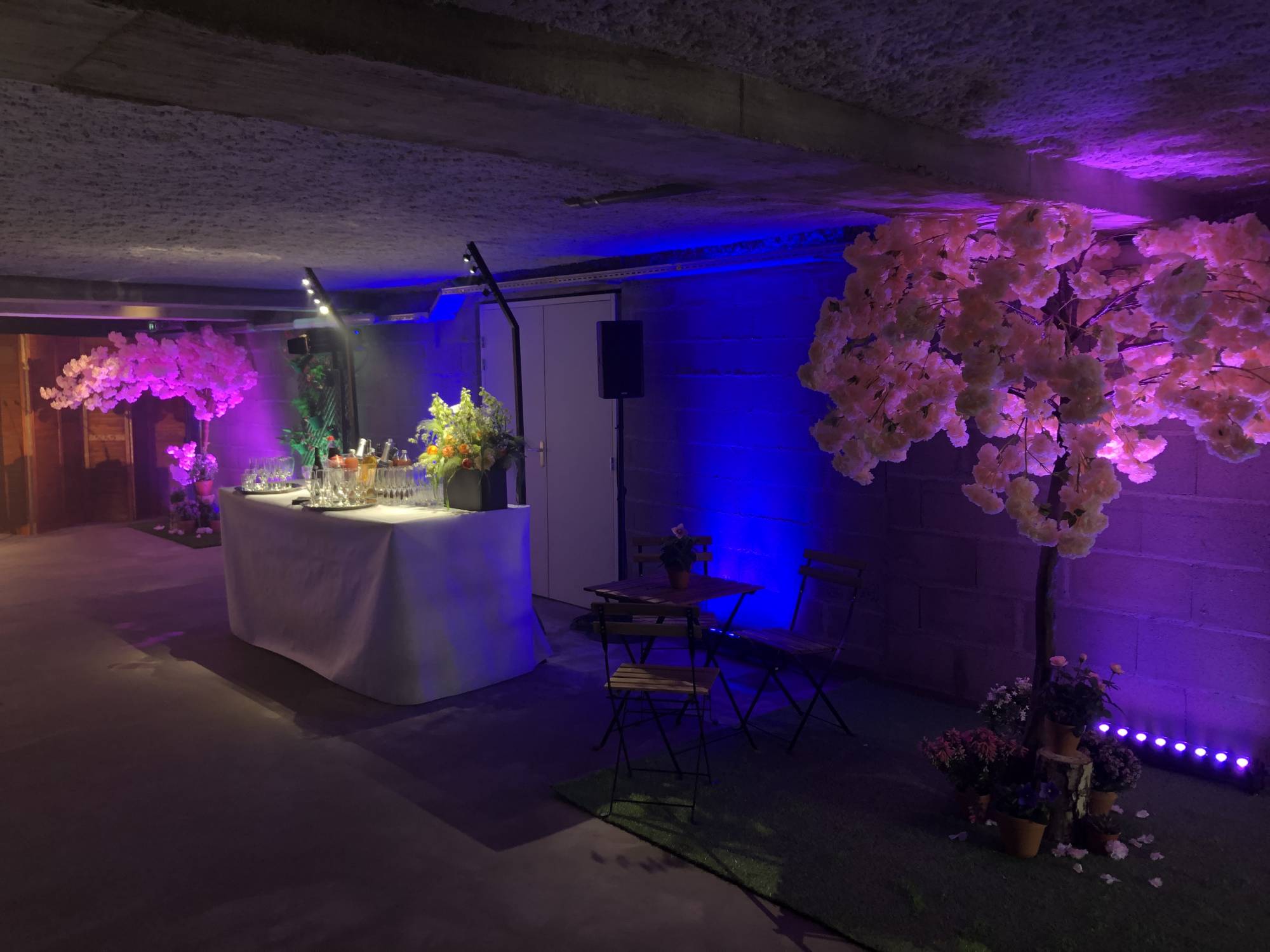 mise en lumière décoration inauguration Lyon L&Db