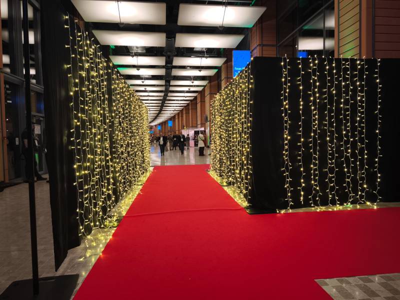 Mise en lumière et installation de guirlandes lumineuses pour illuminer l'entrée d'un événement d'entreprise à Lyon